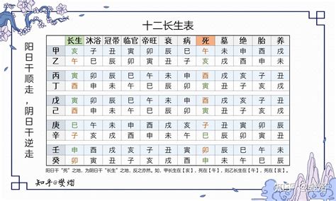 12長生|【12 長生】揭開十二長生之謎：深入淺出的八字算命基礎課